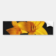 Orchidée jaune adhésif pour voiture