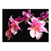 Orchidée rose faire-part personnalisé