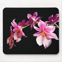 Orchidée rose tapis de souris