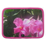 Orchideen-Portfolio Planer
