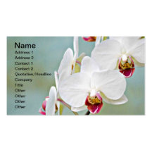 Orchidées Cartes De Visite Personnelles