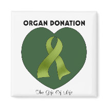 Organspende: Das Geschenk des Lebens