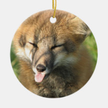 Ornement de Fox