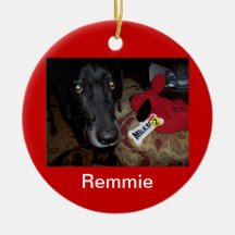 Ornement de Remmie