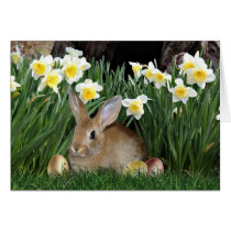 Osterhase karten