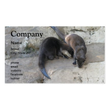 Otter Visitenkarte