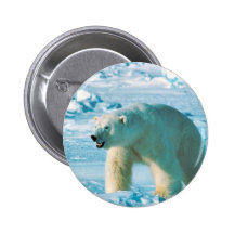 Ours blanc badge