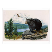 Ours noir Ridge Carte Postale
