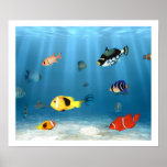 Ozeane der Fische Posterdruck