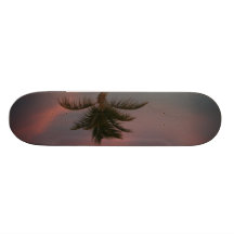 Palme Individuelle Skateboarddecks