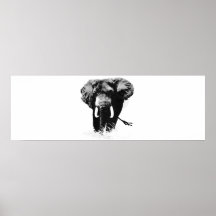Panoramische B&W Elefant-Plakat-Drucke
