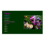 Pansy n Freunde Visitenkarten