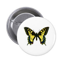 Papilio machaon buttons