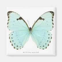 Papillon blanc aimants
