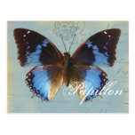 Papillon Blau Postkarte