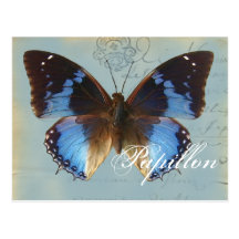 Papillon Blau Postkarte