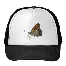 Papillon Casquettes