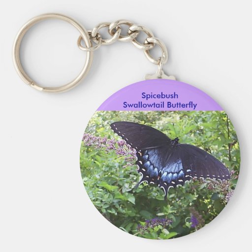 Papillon doux Keychain Porte-clé