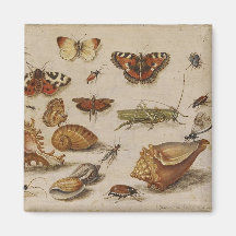 Papillon et Shell Magnent Aimant