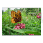 Papillon sur la carte de note de blanc de fleur