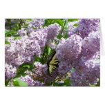 Papillon sur le carte pour notes lilas