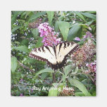 Papillon sur une fleur magnets