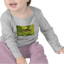 Papillon T-shirts