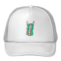 Papoose graphic.png de bébé casquette