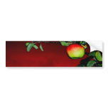Paradiesapfel Autosticker