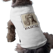 Pascal = 1 Newton pro Quadratmetermathewitz Haustierhemd