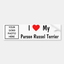 Pastor Russel Terrier Auto Aufkleber