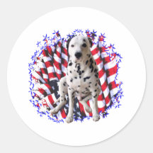 Patriote dalmatien adhésifs