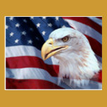Patriotische Eagle-Postkarte postkarten