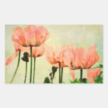 Pavots roses et remous floraux sticker rectangulaire
