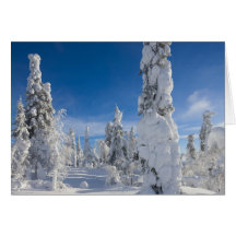 Paysage d'hiver dans Lappland Carte De Vœux