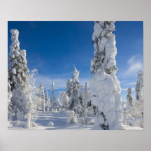 Paysage d'hiver dans Lappland Poster