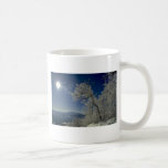 Paysage d'hiver, Nouvelle Angleterre Tasse À Café