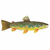 Pêche de mouche de truite découpage en acrylique