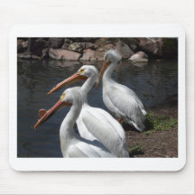Pelikane, 3 mousepad