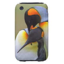 Penguins-Liebe Tough iPhone 3 Hüllen