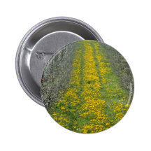 pépinière jaune au printemps avec des pissenlits badge avec épingle