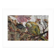 perroquet carte postale