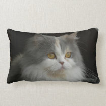 Persische Katzen-Gesichts-Amerikaner MoJo Kissen kissen