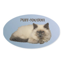 Persische siamesische Katze