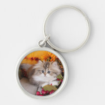 Persisches Kätzchen Keychain Schlüsselband