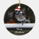 Personalisiertes blaues Jay: Frohe Weihnacht-Magne Ornamente