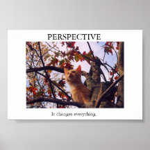 Perspective Posters