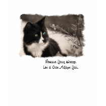 Pet Adoptions-Rettung Ihr Herz und adoptieren Sie 