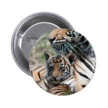 Petit animal de tigre badges avec agrafe