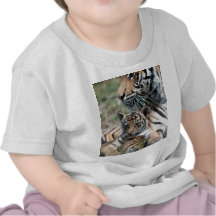 Petit animal de tigre t-shirt